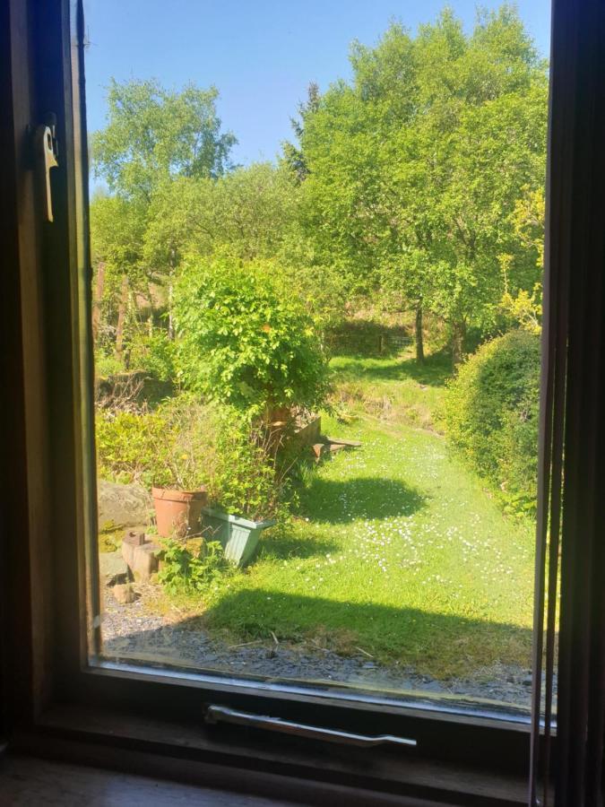 Country house Bryn Elltyd Eco House *