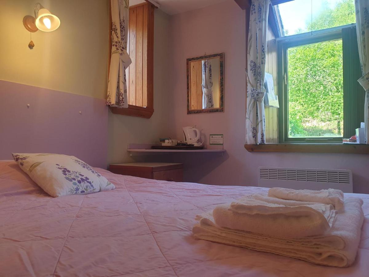 Bryn Elltyd Eco House Country house