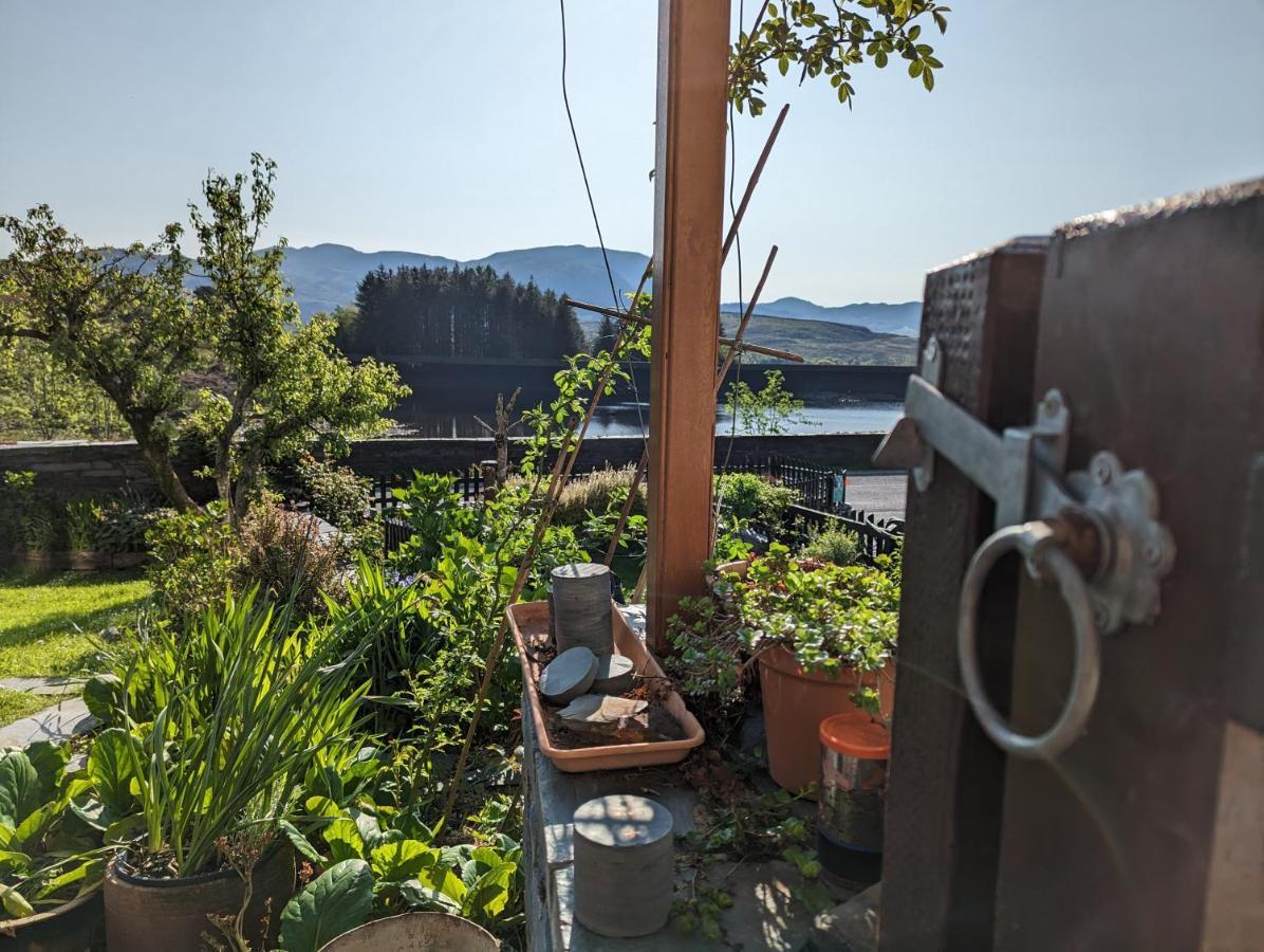 Bryn Elltyd Eco House