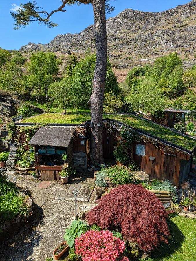 Bryn Elltyd Eco House *