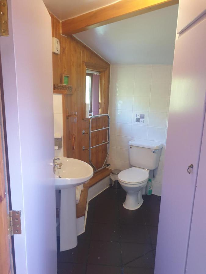 Country house Bryn Elltyd Eco House *