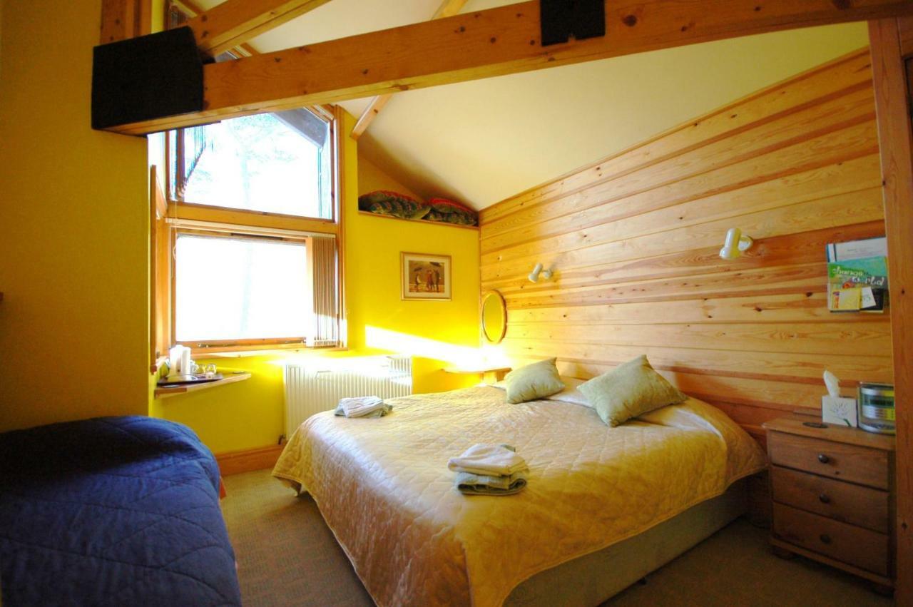 Country house Bryn Elltyd Eco House